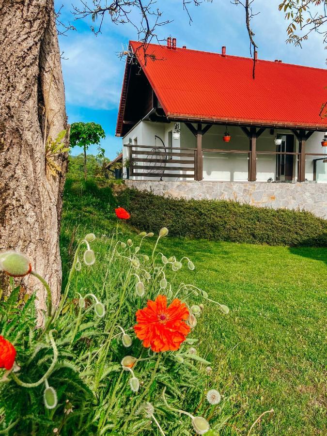 Malinowa Osada Villa วีสวา ภายนอก รูปภาพ